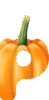 0602jkv8-4f66-49x100.png