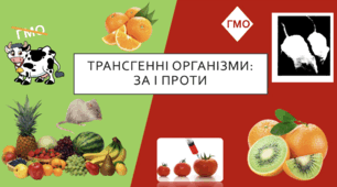 Трансгенні організми за і проти/ ГМО