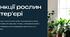 Презентація: "Функції рослин в інтер'єрі"