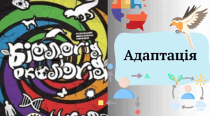 Адаптації. Узагальнення
