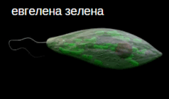 0602jtsp-5a81-238x140.png
