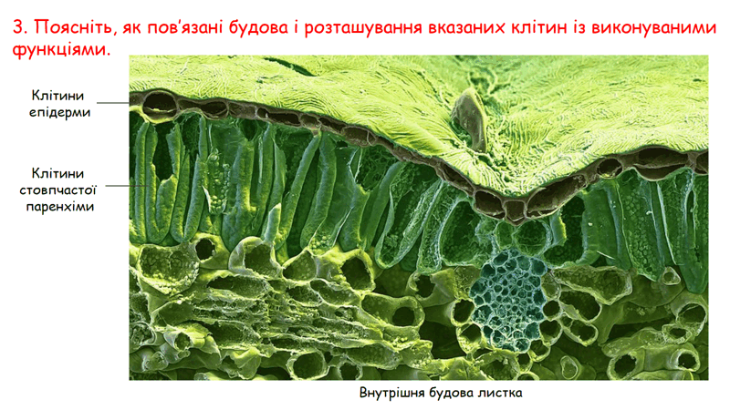 0602jvff-6520-800x450.png