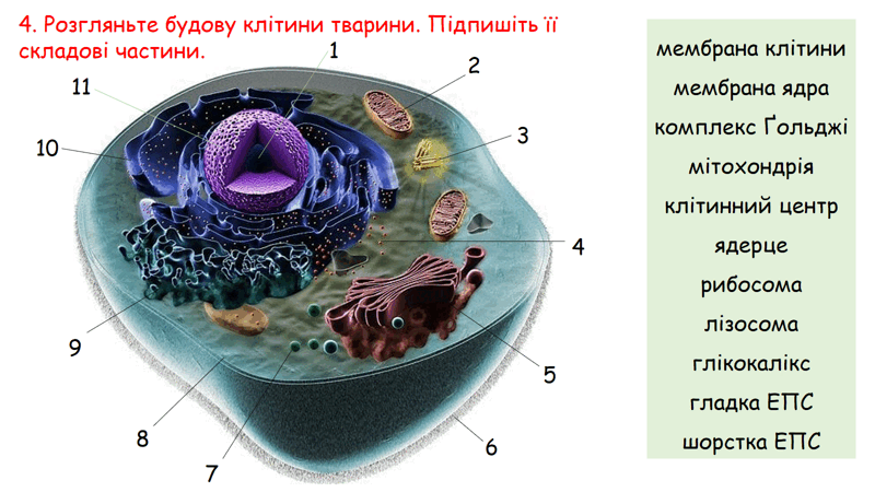 0602jvfn-e794-800x450.png