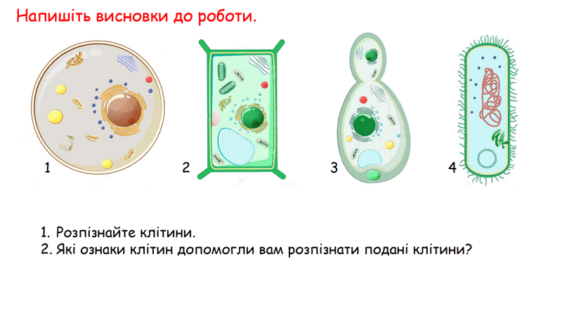 0602jvih-9431-800x450.png