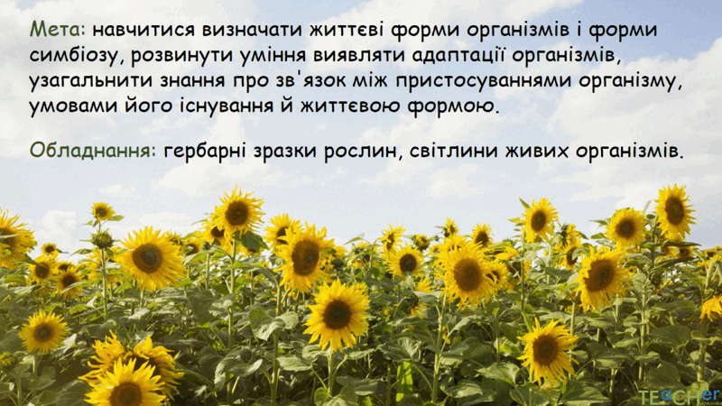 0602jw1m-3db6-800x450.png