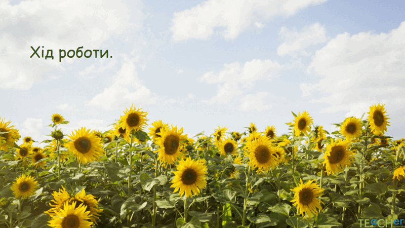 0602jw1w-600d-800x450.png