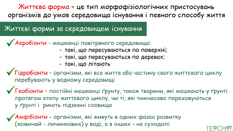 0602jw2b-70f7-800x450.png
