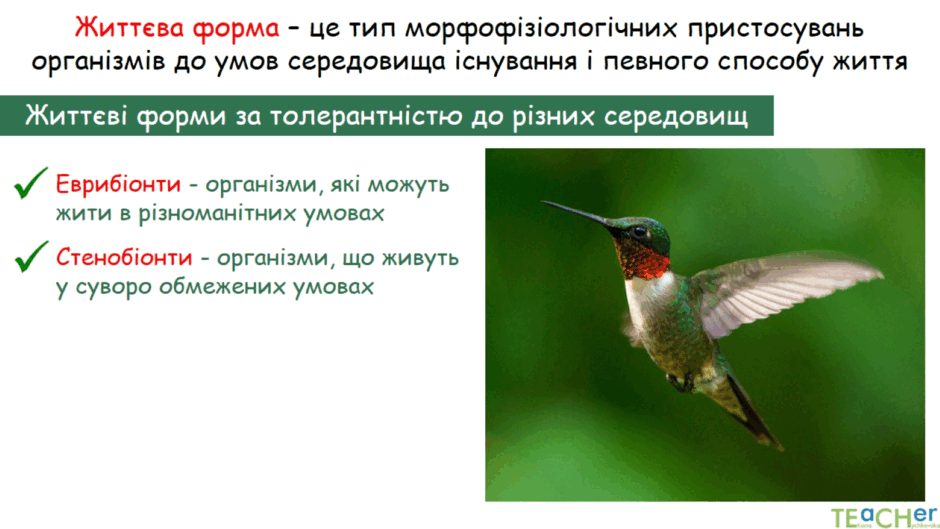 0602jw2l-812e-940x529.png