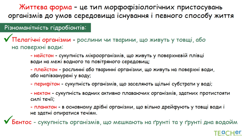 0602jw2s-8fa7-940x529.png