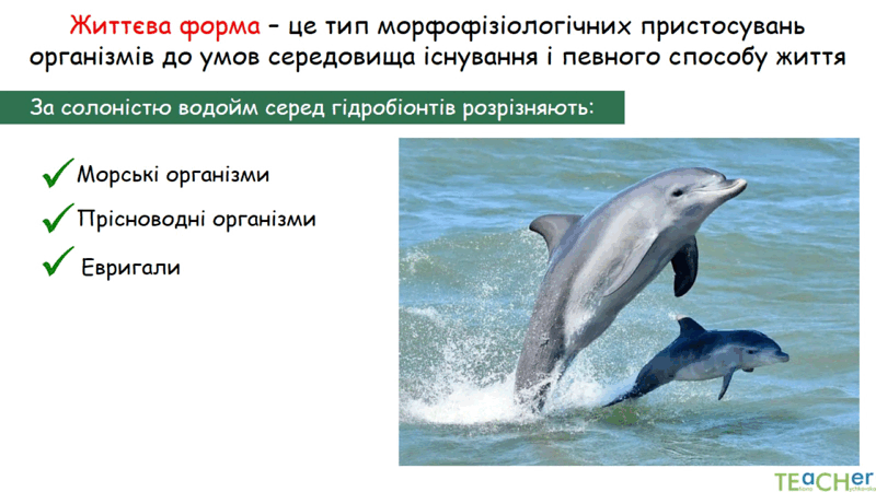 0602jw30-b502-800x450.png