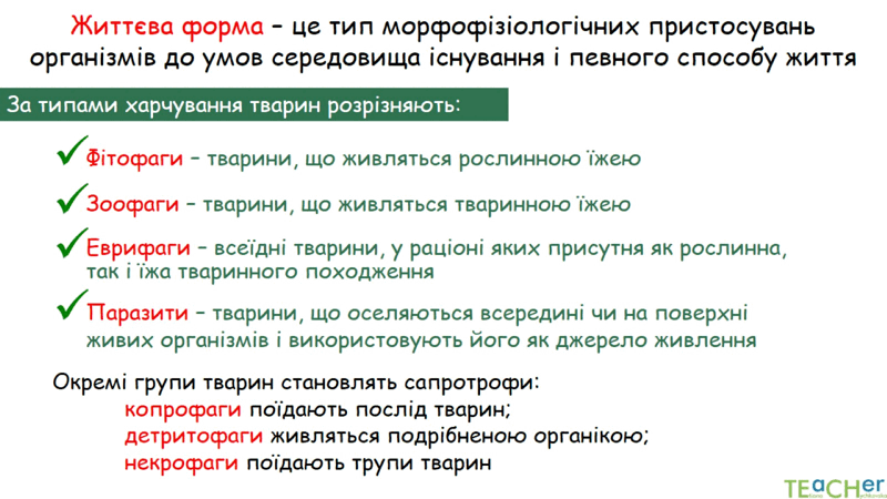 0602jw32-a94e-800x450.png