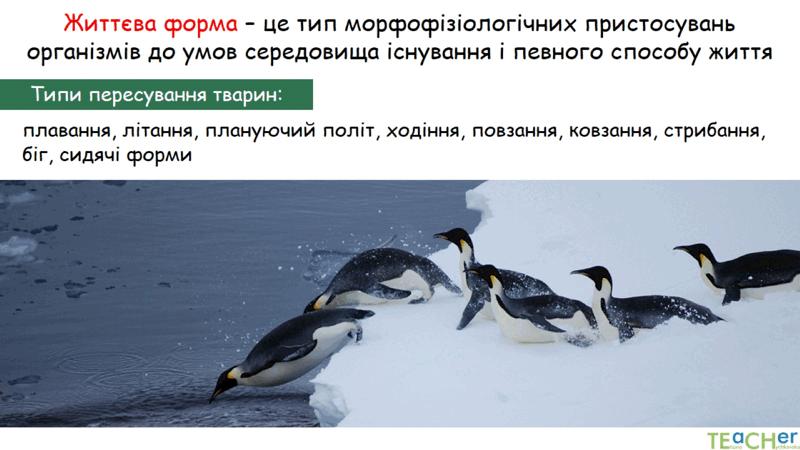 0602jw3f-8b7a-800x450.png