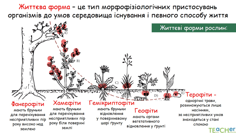 0602jw3z-2503-800x450.png
