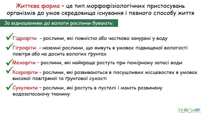 0602jw43-66fb-800x450.png