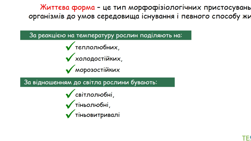 0602jw4c-61d7-800x450.png