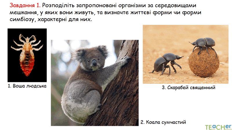 0602jw4j-a645-800x450.png