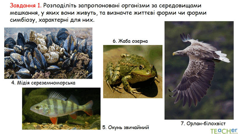 0602jw4y-bb69-800x450.png