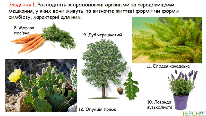 0602jw53-c9f4-800x450.png