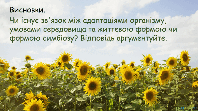 0602jw5p-cf0e-800x450.png