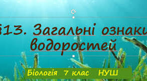 Загальні ознаки водоростей