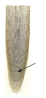 0602k1qb-bfb7-159x337.png