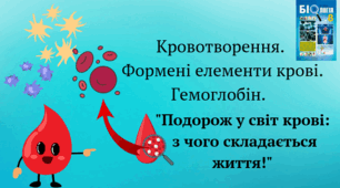 Кровотворення.  Формені елементи крові. Гемоглобін.