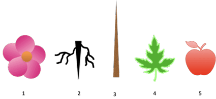 0602kax6-a04d-425x196.png