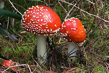 0602kevt-8e95-220x147.jpg