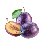 0602kgsh-9410-167x167.png