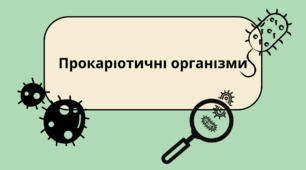 Прокаріотичні організми