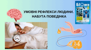 Умовні рефлекси людини. Набута поведінка 8 клас