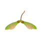 0602kmdh-eeef-82x82.png