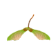 0602kmdo-e411-81x81.png