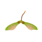 0602kmdw-5cef-83x83.png