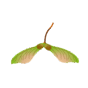 0602kmdx-4370-88x88.png