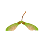 0602kme5-140d-85x85.png