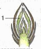 0602knau-9f86-85x101.png