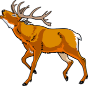 0602kodb-9fa0-176x173.png