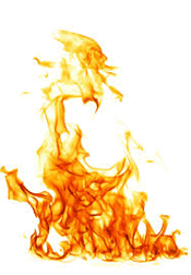 0602koe5-b217-175x252.png