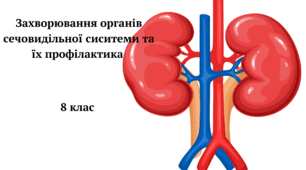Захворювання органів сечовидільної системи та їх профілактика