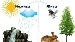 Жива і нежива природа