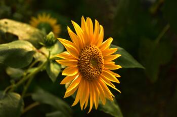 0602ktwa-7934-940x627.jpg