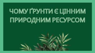 Чому ґрунти є цінним природним ресурсом