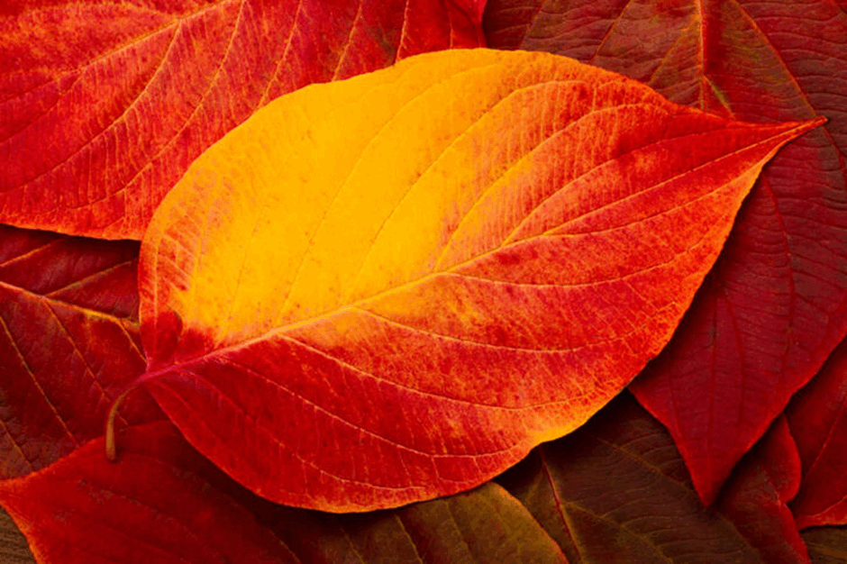 0602l20t-0ef2-940x626.png