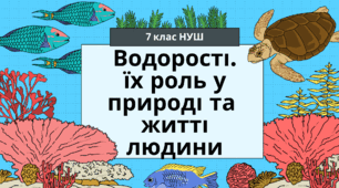 Ментальна карта "Водорості"