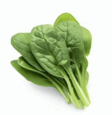 0602l266-23d4-162x166.png