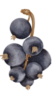 0602l285-e824-109x186.png