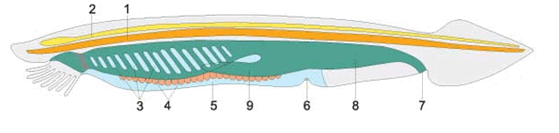 0602l4ry-66e1-559x133.png