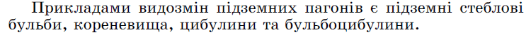 0602l52t-f2da-750x50.png