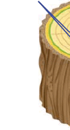 0602l534-2c31-102x188.png